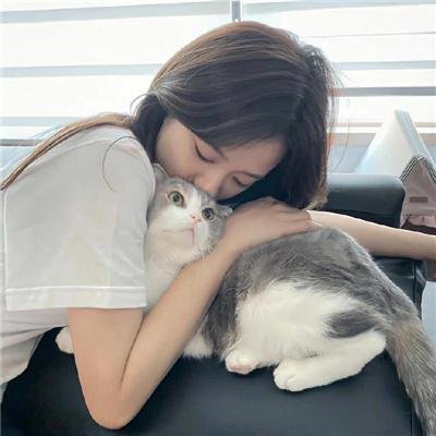 绿豚街影