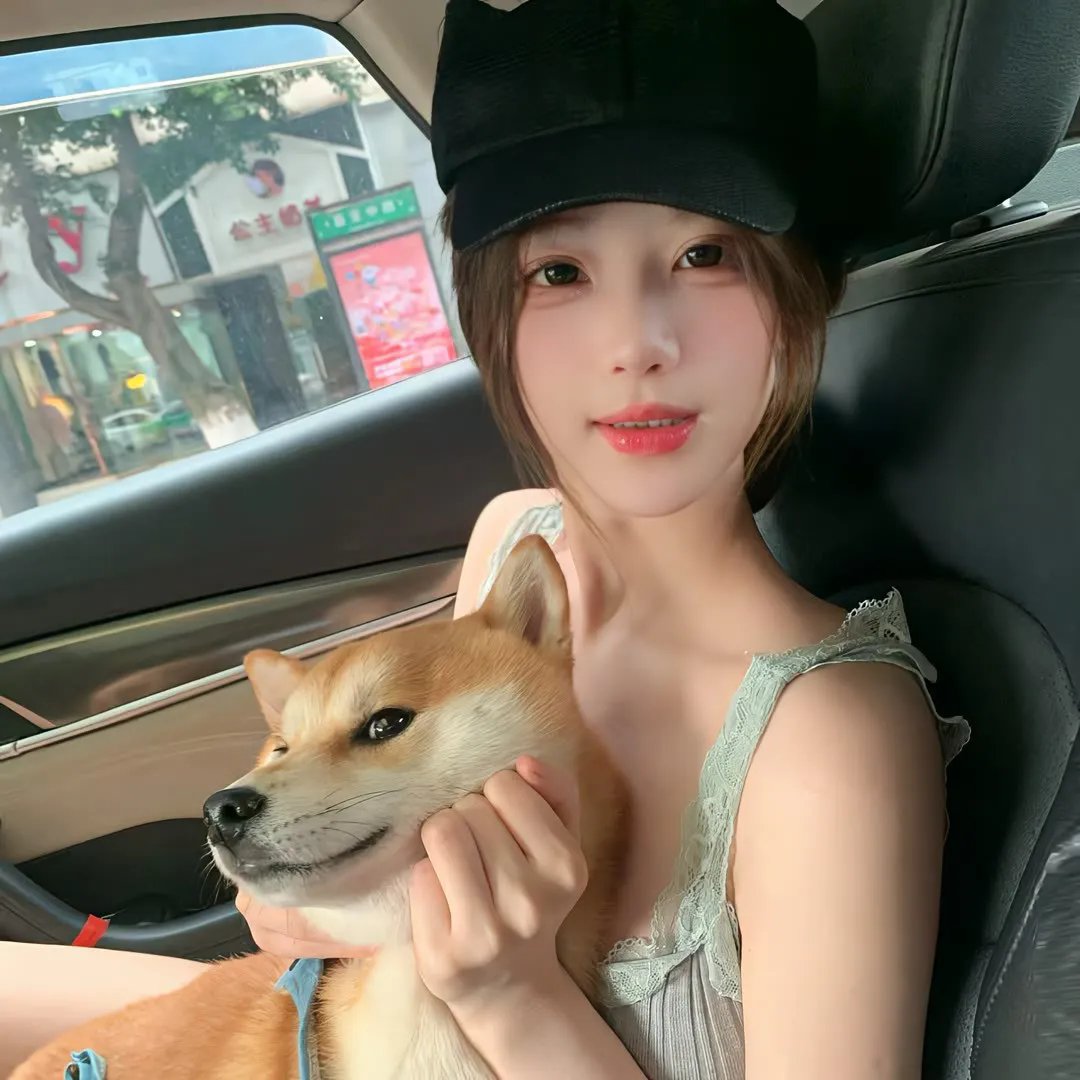 瞎猪想要飞