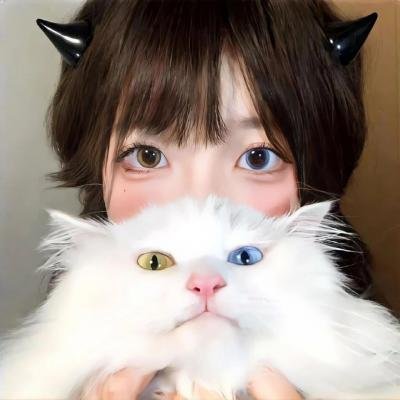 疯狂的兔子